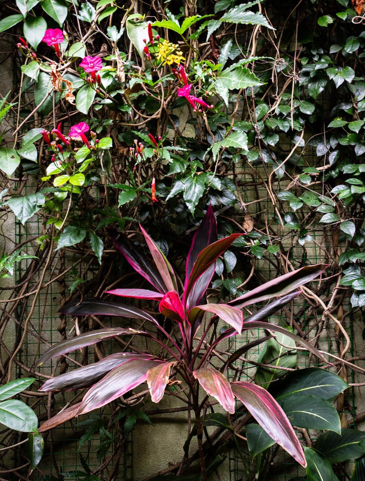 Kandy Inn Madugalle'S Family Guest House ภายนอก รูปภาพ